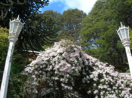DSCN3179