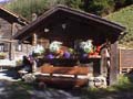 swiss chalets